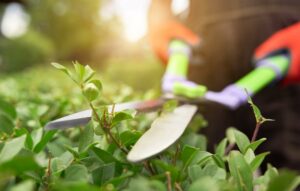 bricolage jardinage informatique administratif Brico Solutions