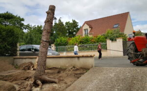 Dessouchage sapin - BricoSolutions